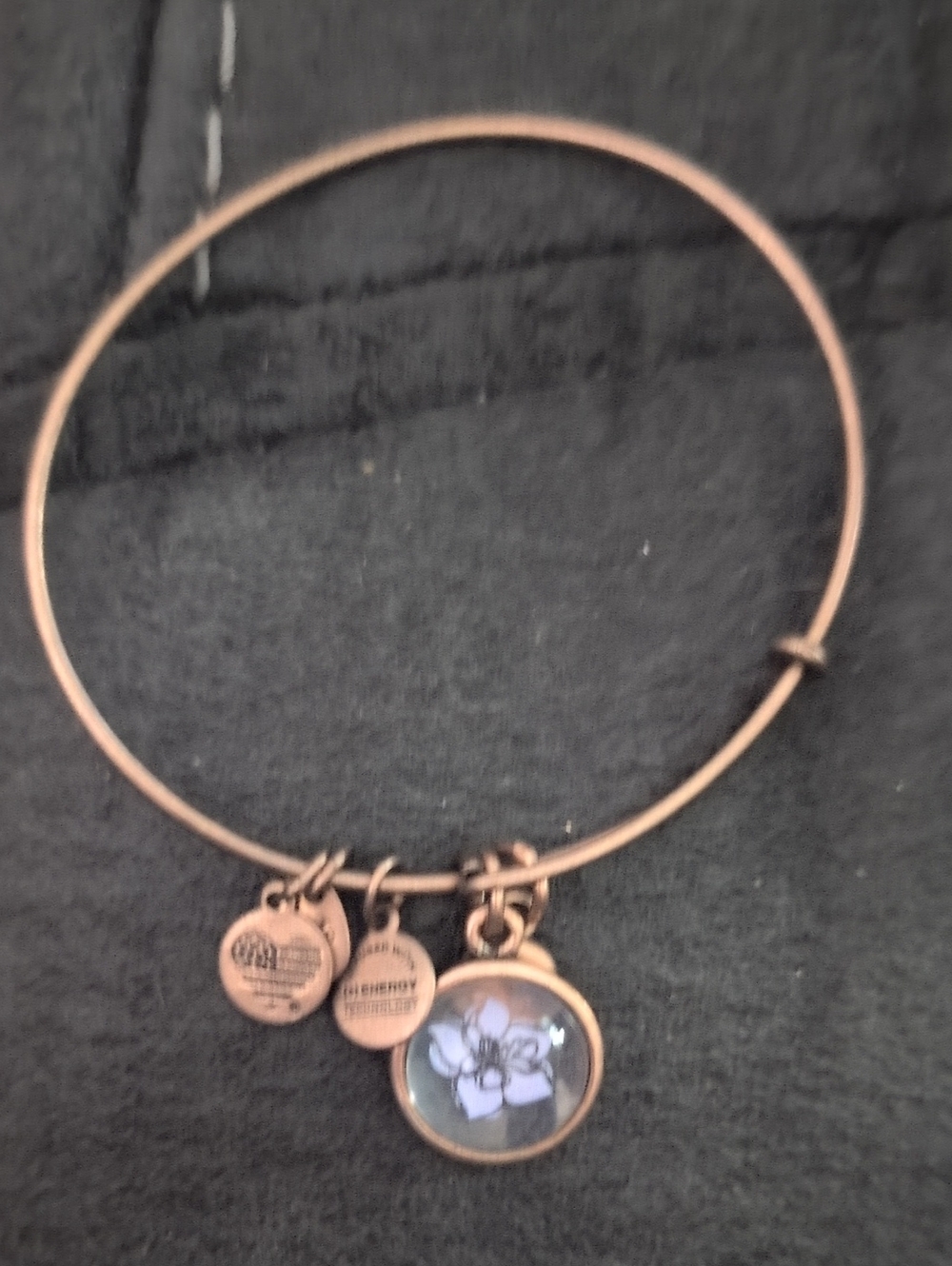 Alex And Ani Survivor Bracelet